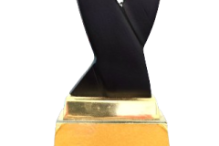 NIX-Award
